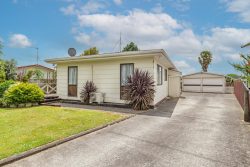 3 Nikau Street, Levin, Horowhenua, Manawatu / Whanganui, 5510, New Zealand