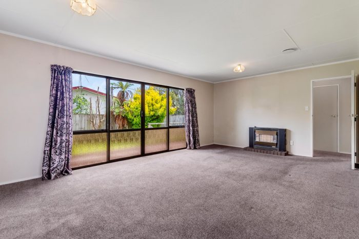 3 Nikau Street, Levin, Horowhenua, Manawatu / Whanganui, 5510, New Zealand