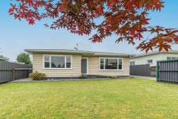 20 York Street, Levin, Horowhenua, Manawatu / Whanganui, 5510, New Zealand