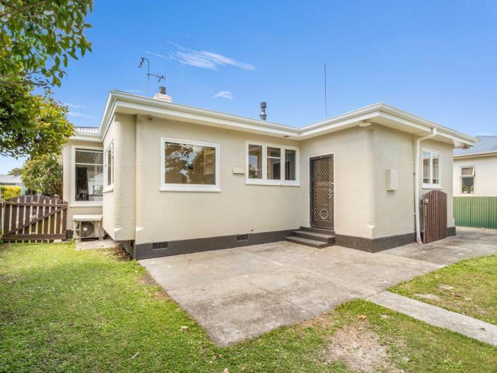 48 Wood Street, Takaro, Palmerston North, Manawatu / Whanganui, 4410, New Zealand