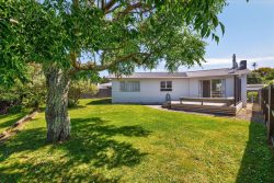 33 Leicester Street, Terrace End, Palmerston North, Manawatu / Whanganui, 4410, New Zealand