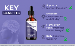 Is NeuroDyne Legit: Enhance Cognitive Flow[Dr Peter Attia NeuroDyne]