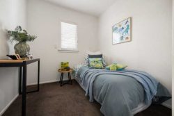 80 Rimu Street, Maeroa, Hamilton, Waikato, 3200, New Zealand