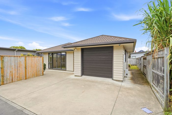 46 Ward Street, City Centre, Palmerston North, Manawatu / Whanganui, 4410, New Zealand