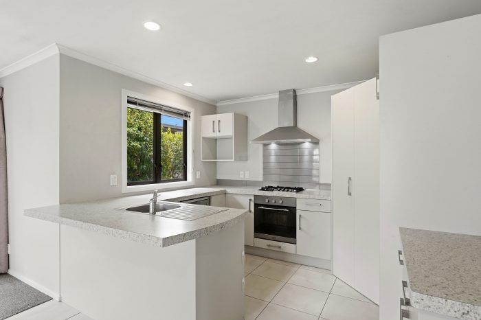 46 Ward Street, City Centre, Palmerston North, Manawatu / Whanganui, 4410, New Zealand