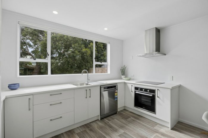 54 Council Street, Saint Kilda, Dunedin, Otago, 9012, New Zealand