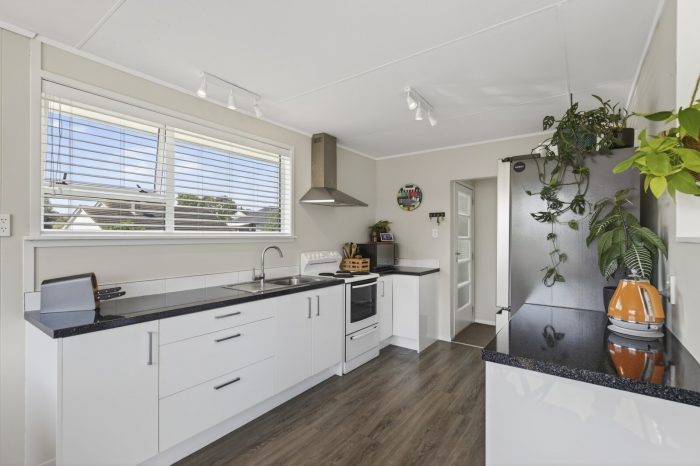 19 Grenville Street, Marfell, New Plymouth, Taranaki, 4310, New Zealand