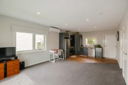 8A Cuba Street, Takaro, Palmerston North, Manawatu / Whanganui, 4412, New Zealand