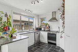 30 Nikau Place, Matamata, Matamata-Piako, Waikato, 3400, New Zealand