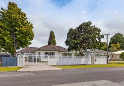 19 Rata Street, Matamata, Matamata-Piako, Waikato, 3400, New Zealand