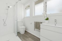 50 Saunders Street, Brockville, Dunedin, Otago, 9011, New Zealand