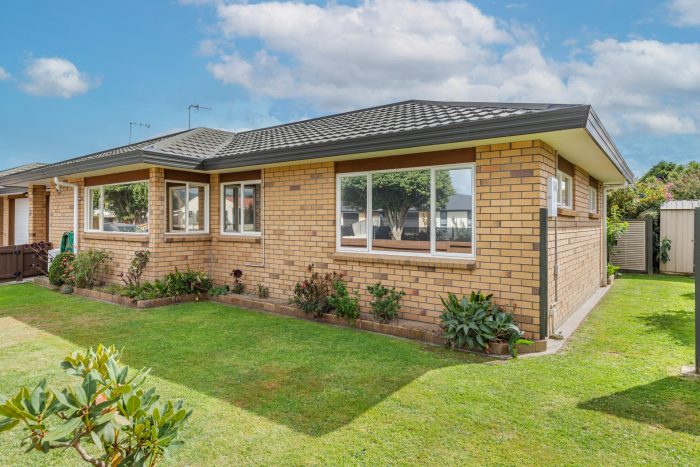 26 Duke Street, Levin, Horowhenua, Manawatu / Whanganui, 5510, New Zealand