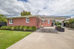 175 Bartholomew Road, Levin, Horowhenua, Manawatu / Whanganui, 5510, New Zealand