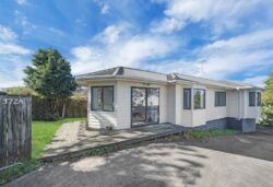 172A White Swan Road, Mount Roskill, Auckland, 1041, New Zealand