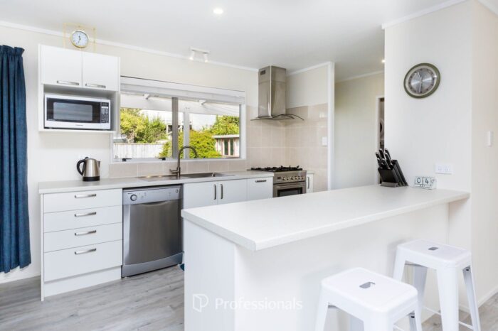 17 Beryl Grove, Birchville, Upper Hutt, Wellington, 5018, New Zealand