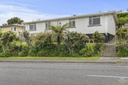 293 Tukapa Street, Hurdon, New Plymouth, Taranaki, 4310, New Zealand