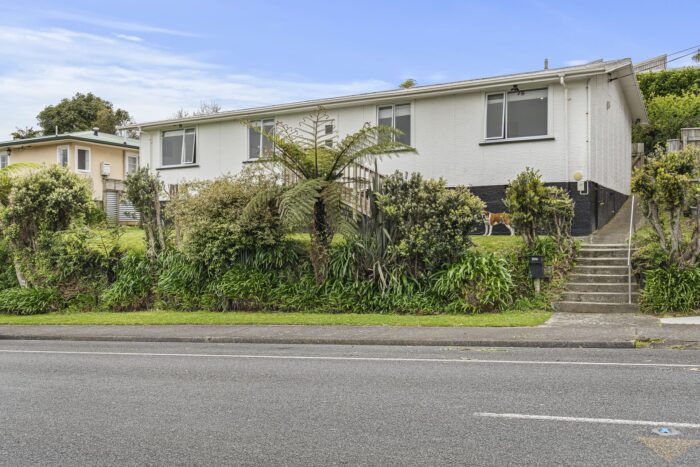 293 Tukapa Street, Hurdon, New Plymouth, Taranaki, 4310, New Zealand