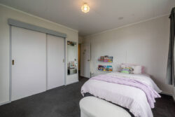 47 College Street, Awapuni, Palmerston North, Manawatu / Whanganui, 4412, New Zealand